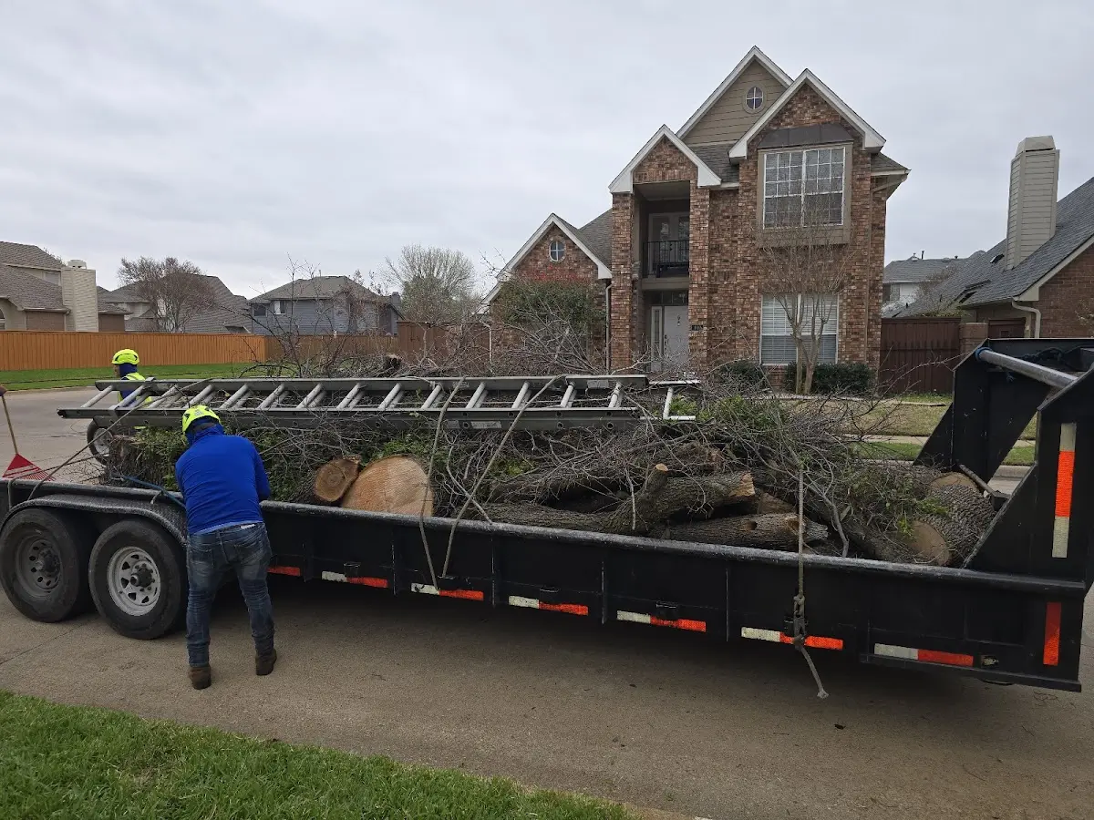 Expert Tree Removal with proper safety equipment in Hanceville